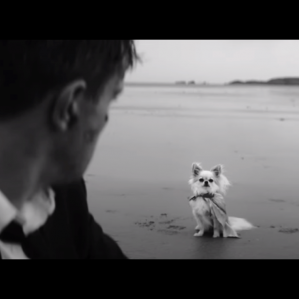 Phoebe Bridgers "Savior Complex" (Phoebe Waller-Bridge ...