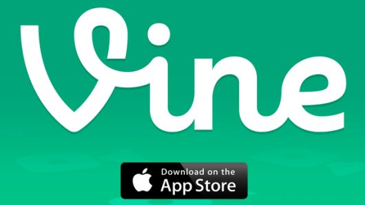 Vine